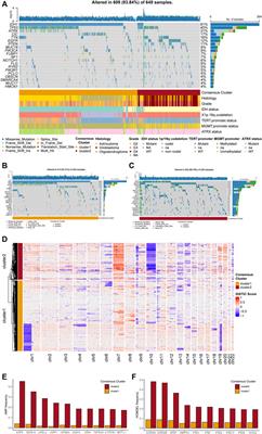 Purine metabolism-related <mark class="highlighted">gene expression signature</mark> predicts survival outcome and indicates immune microenvironment profile of gliomas